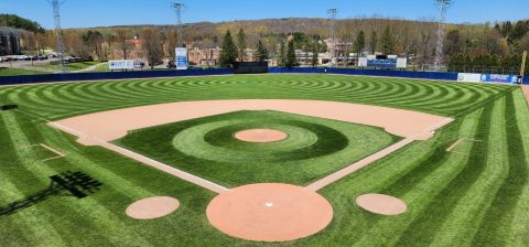 Diethrick Park Summer Game