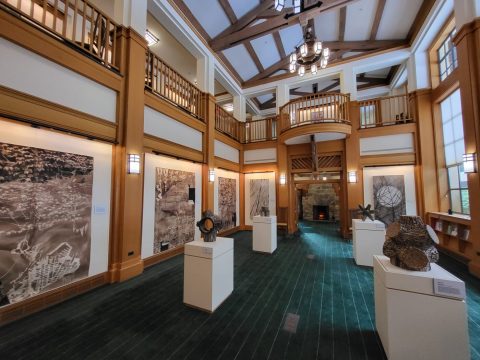 Roger Tory Peterson Institute Interior