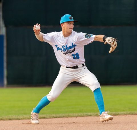 Jamestown Tarp Skunks